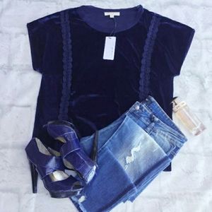 Anthropologie Velvet Navy Lace-Trim Short Sleeve Top